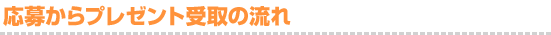 応募からプレゼント受取の流れ