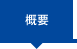 概要