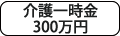 [介護一時金(300万円)]